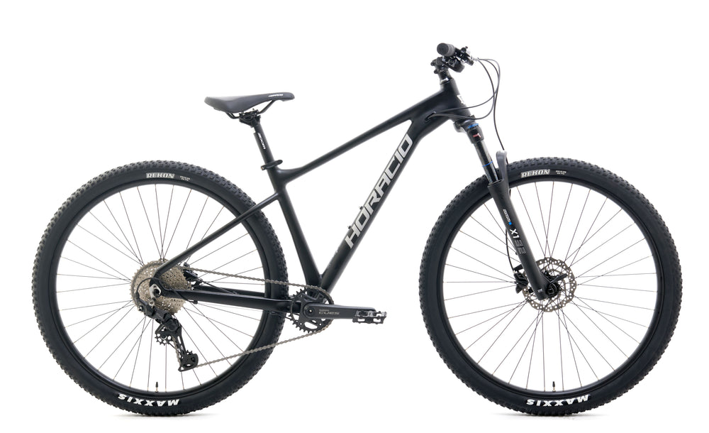 Horacio D10 29 inch mountain bike