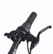 Seal MTB26 |26